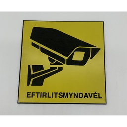 [48-CCTV25X25] EFTIRLITSMYNDAVÉL - 25x25cm